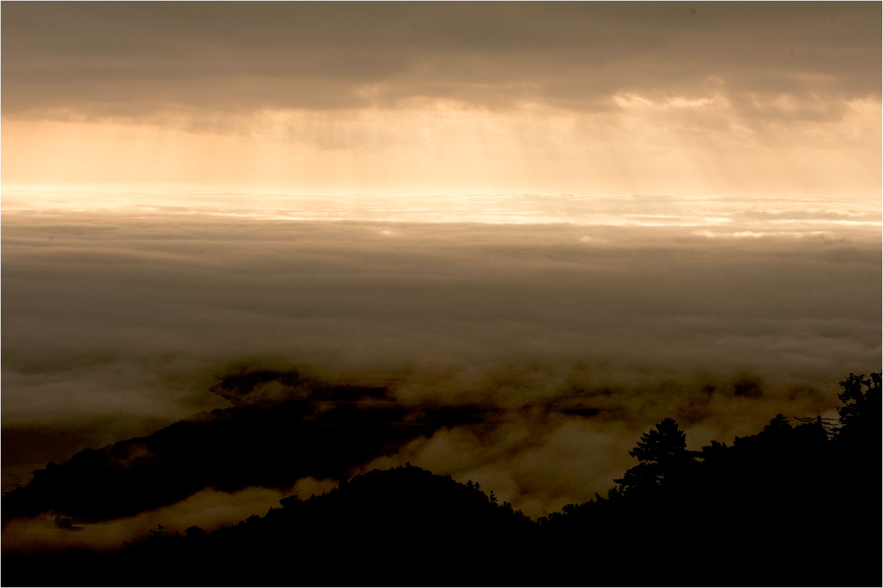 a0245331_755310.jpg