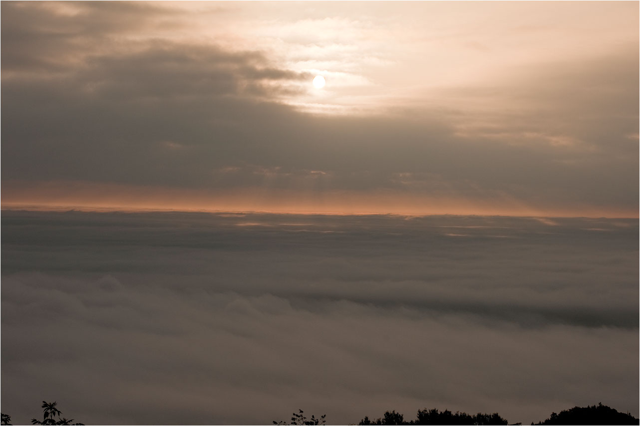 a0245331_7585667.jpg