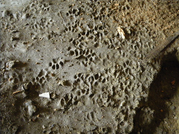 f0118332_22563246.jpg