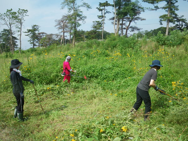f0118332_23344.jpg