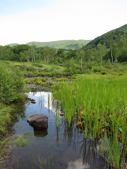 d0001533_04475.jpg