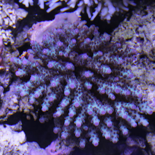 d0221436_192234100.jpg