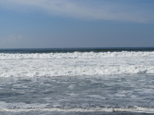 e0259738_73323.jpg