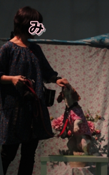f0195543_9202780.jpg