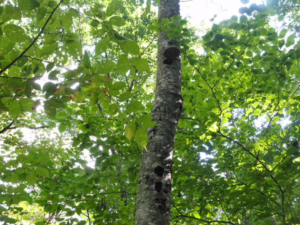 c0122744_0254259.jpg