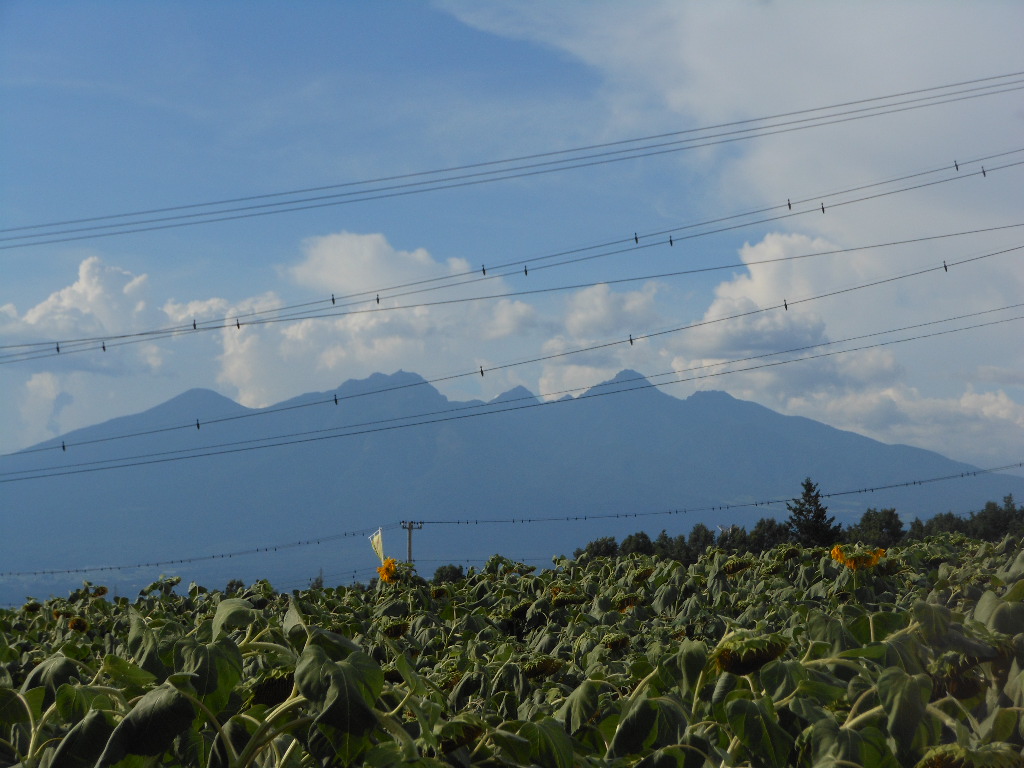 c0122744_0411850.jpg