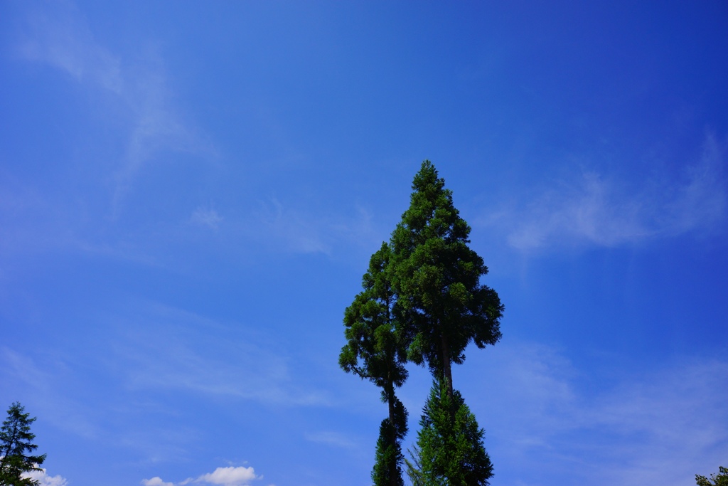 e0223456_11273741.jpg
