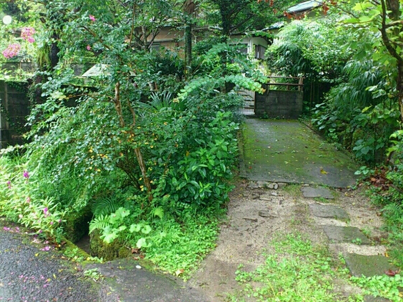 f0063356_1991696.jpg