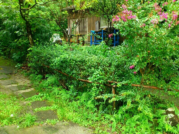 f0063356_199394.jpg