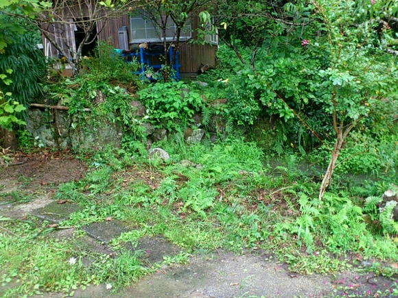 f0063356_1995620.jpg
