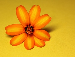 b0254058_16234248.jpg