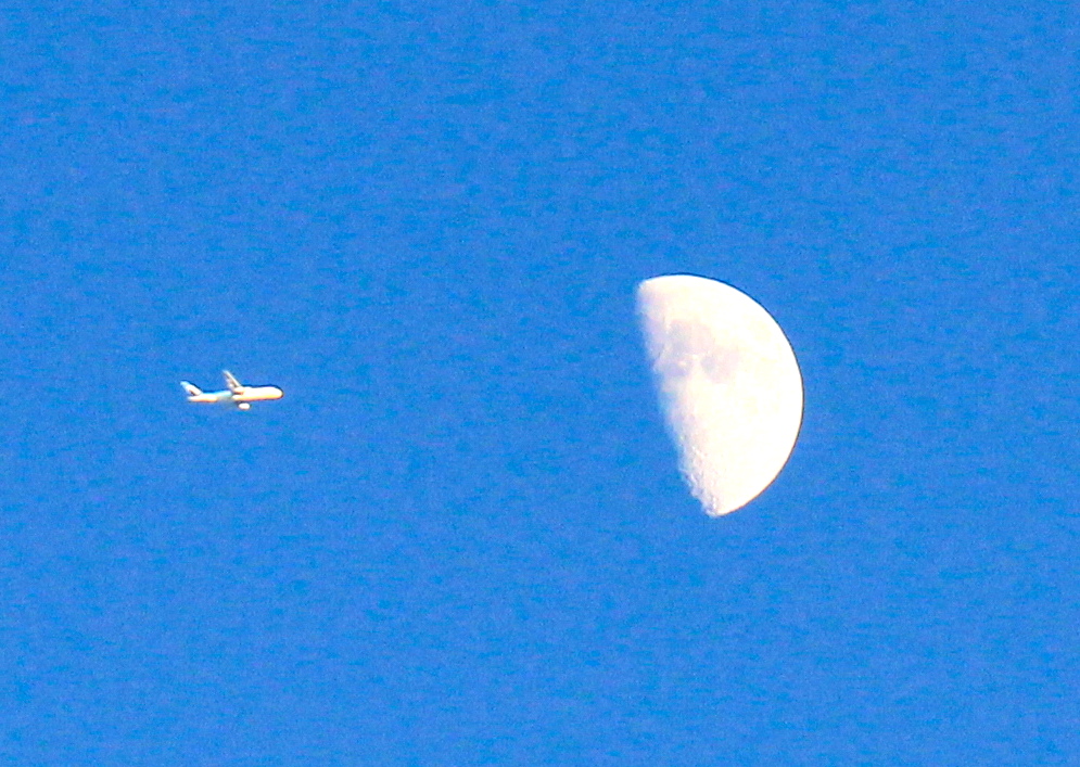 a0248459_18564756.jpg