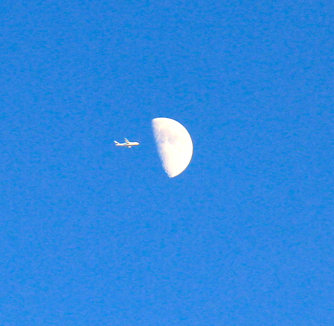 a0248459_1857445.jpg
