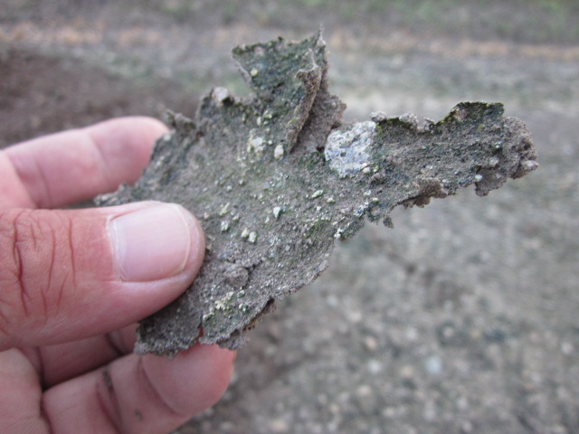 e0181260_2055640.jpg