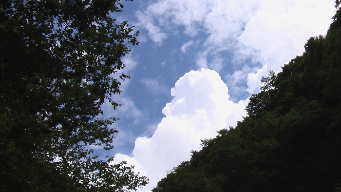b0208961_6201950.jpg