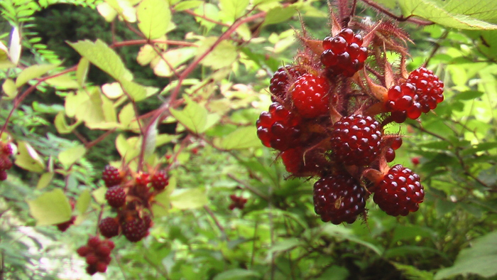 b0208961_6215220.jpg