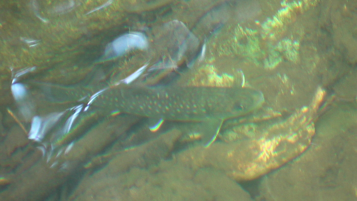 b0208961_6243121.jpg