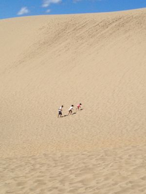 d0147665_12543614.jpg