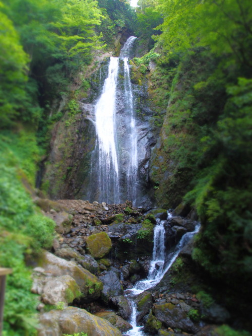 c0122670_17115864.jpg