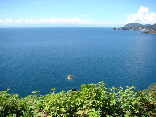 b0190573_029514.jpg
