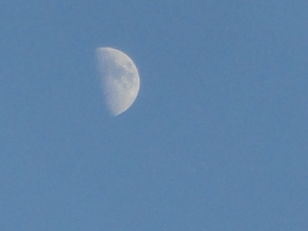 d0109373_221869.jpg
