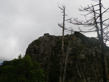 c0019376_1613352.jpg