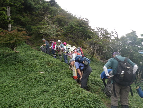 c0019376_16134561.jpg