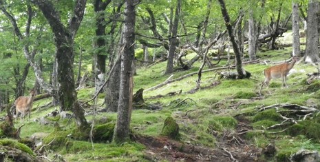 c0019376_16514892.jpg