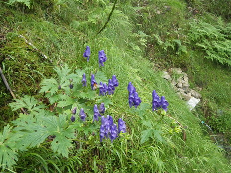 c0019376_16522256.jpg