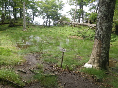 c0019376_16581654.jpg