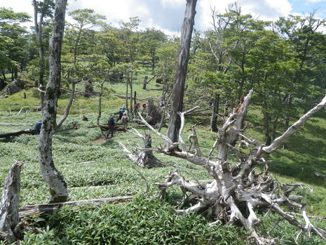 c0019376_1713369.jpg