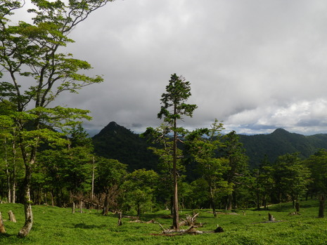 c0019376_172186.jpg