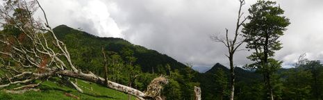 c0019376_1743343.jpg