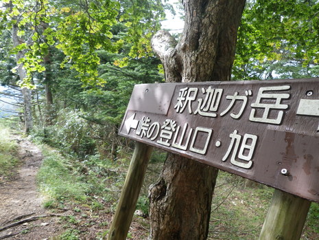 c0019376_17525555.jpg