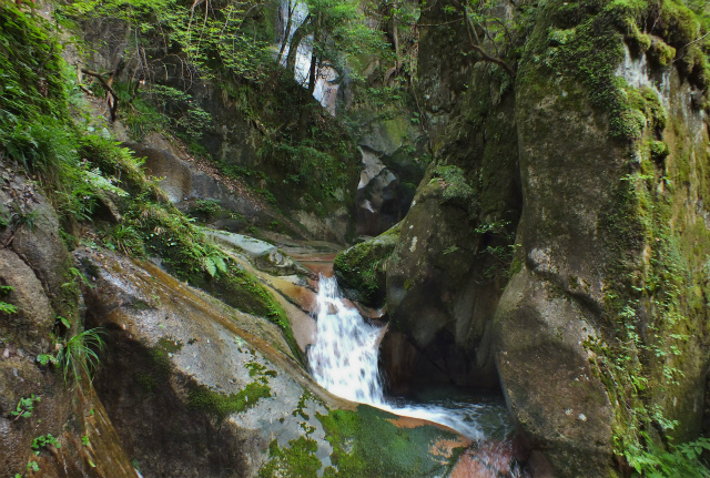 d0245378_17412969.jpg