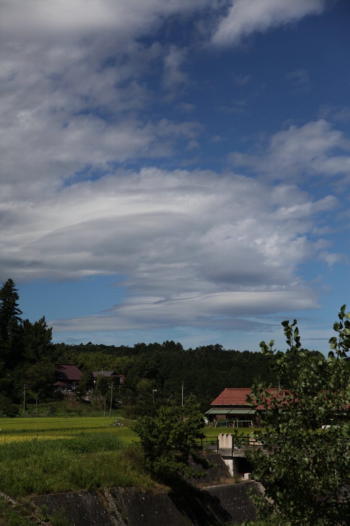 a0076683_5483841.jpg