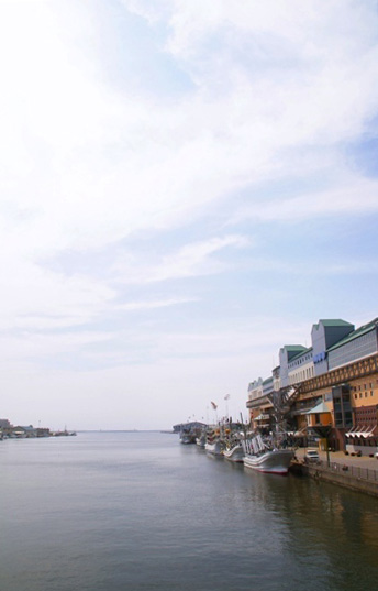 e0183783_902251.jpg