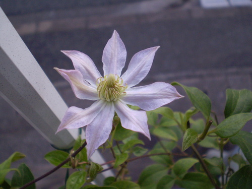a0135990_20511740.jpg