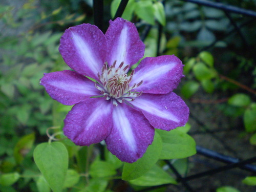 a0135990_21255350.jpg