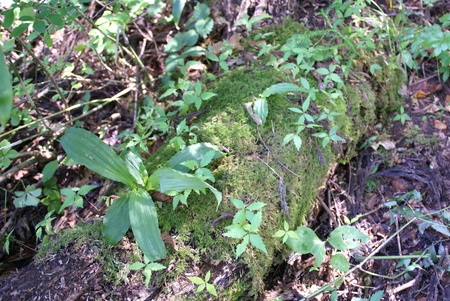 e0271890_2023019.jpg