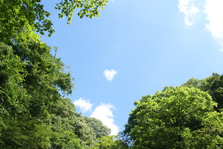 e0271890_20262694.jpg