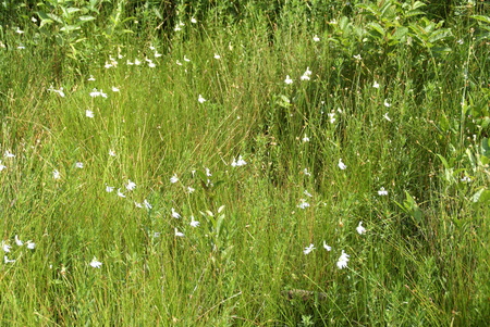 e0271890_20361841.jpg