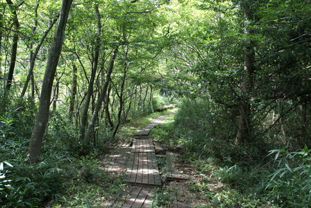 e0271890_20421284.jpg