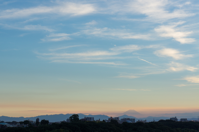 a0185693_01820100.jpg