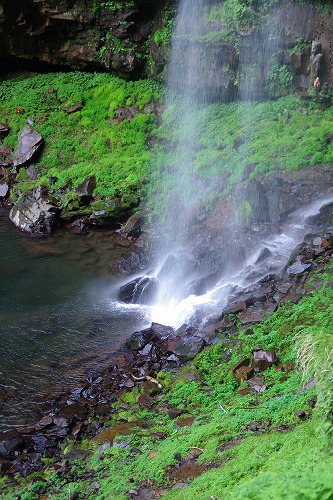 b0119493_1472636.jpg