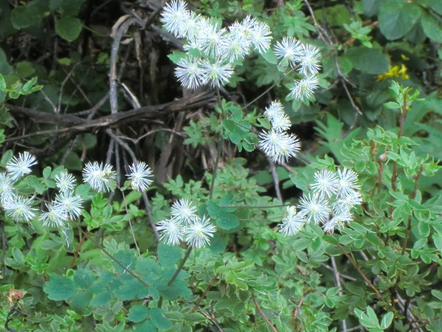 b0044296_21565433.jpg