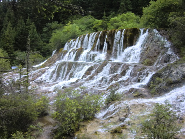b0044296_22351676.jpg