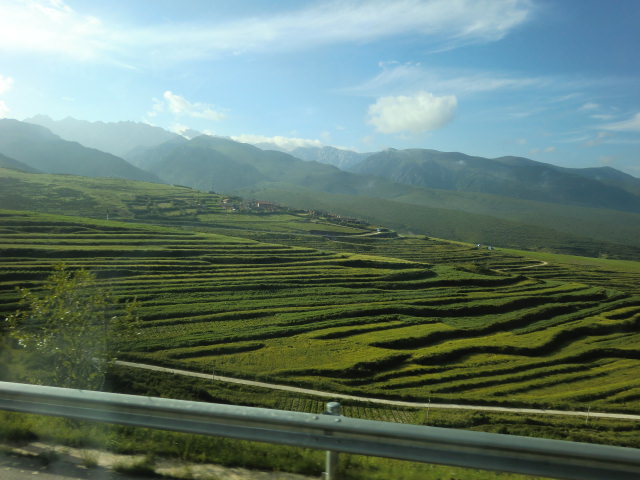 b0044296_22373126.jpg