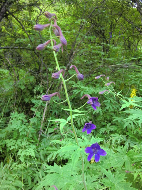 b0044296_2292639.jpg
