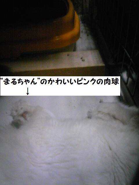 a0232197_16315143.jpg